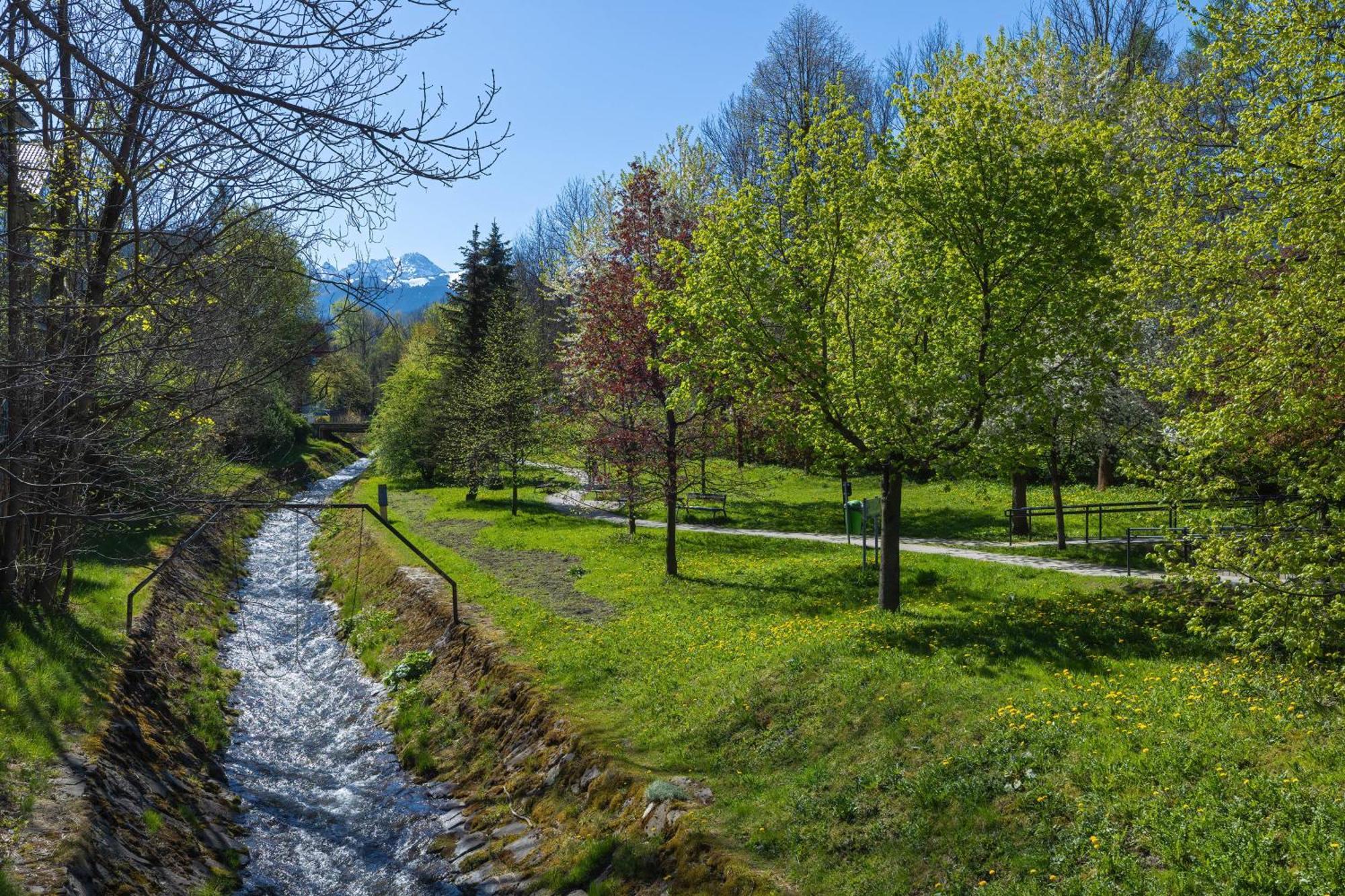 Rent Like Home - Sienkiewicza Zakopane Eksteriør bilde